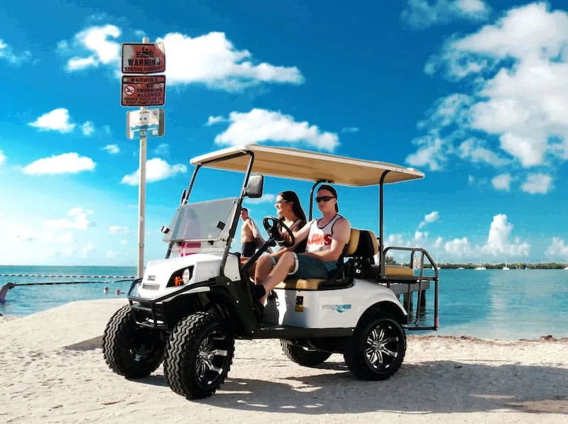 4 passanger golf cart 4