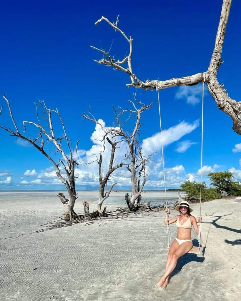 sandbar tree swing
