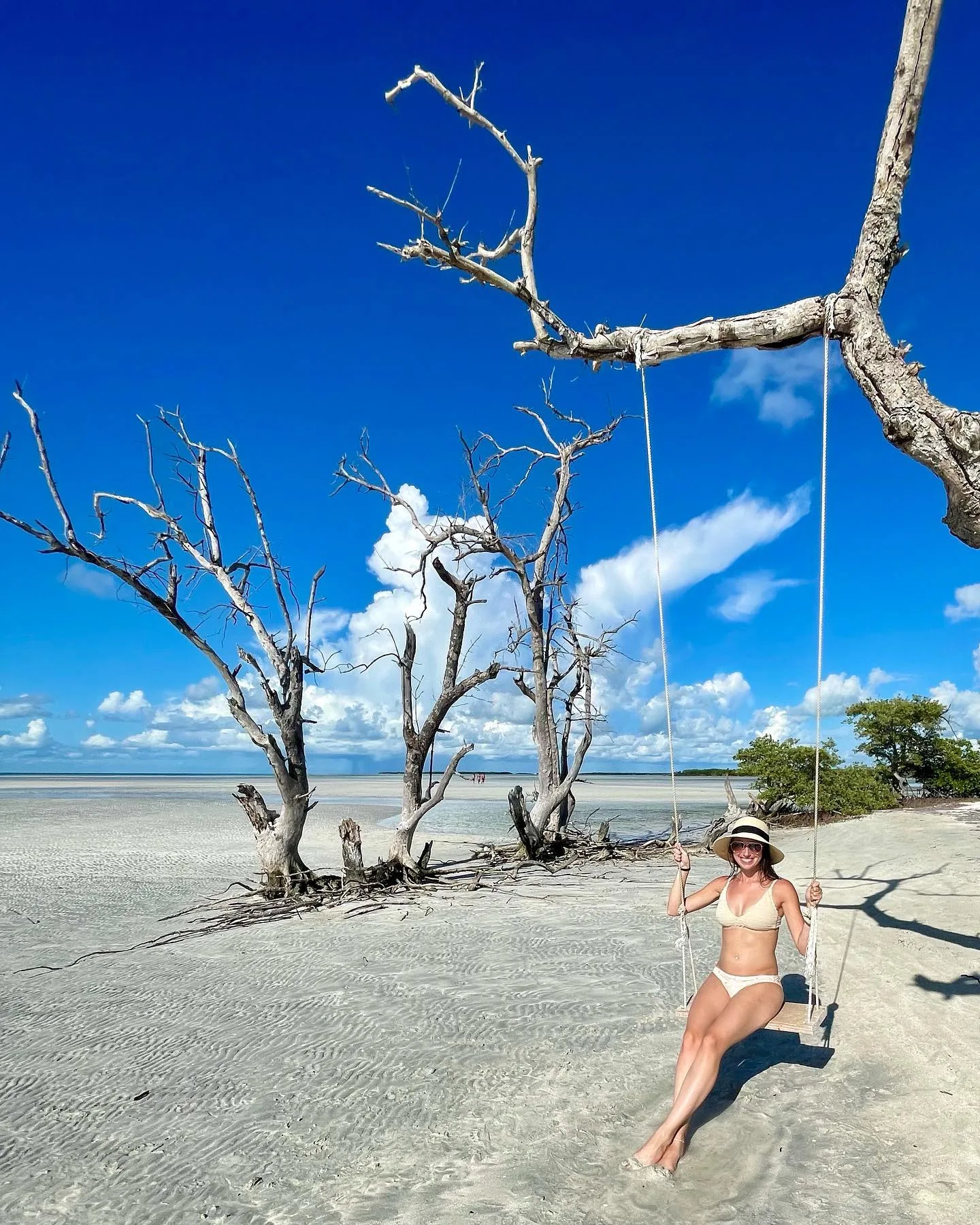 sandbar charter on a tree swing