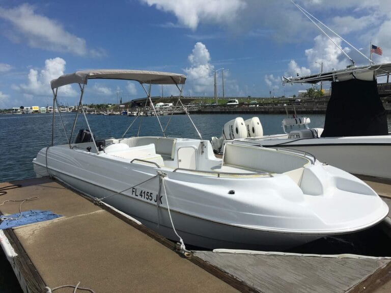 large deck boat docked