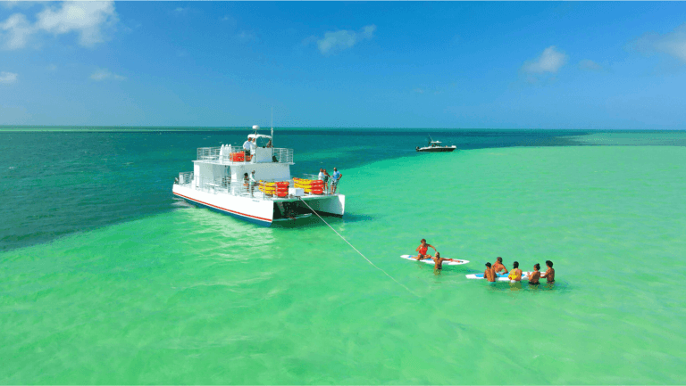 Sandbar, SUP, & Eco Tour