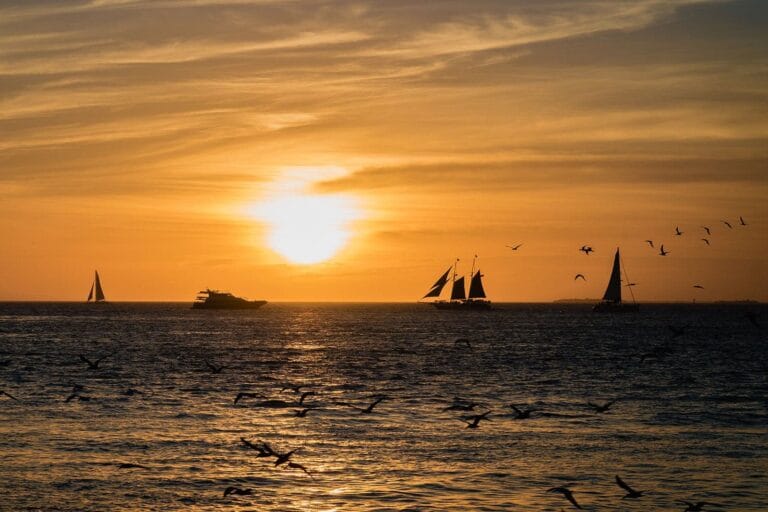 Sandbar Sunset Charter