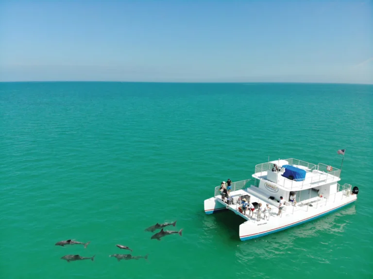 sunset-watersports-dolphin-tours
