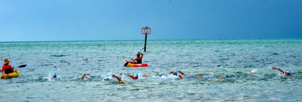 A diverse group of people joyfully swimming in the clear blue ocean on a sunny day