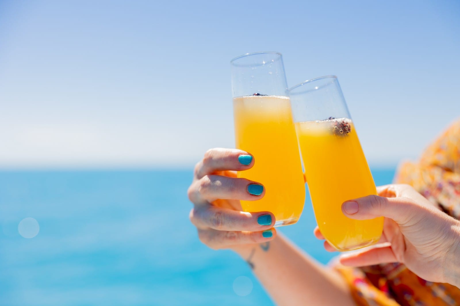 Sunday Mimosa Sailing Brunch